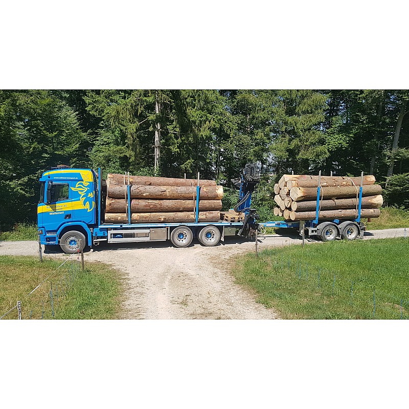 Martin Wittwer Scania R500 Rigid Truck & Trailer