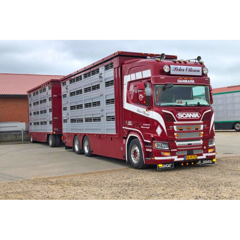 Scania R High Roof 6X4 With Live Stock Trailer